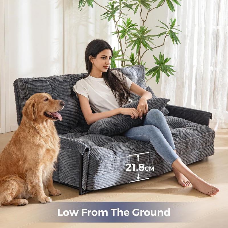 Adjustable Floor Sofa Couch with 2 Pillows Multi-Functional