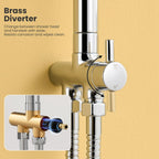Adjustable Shower Riser Rail Kit