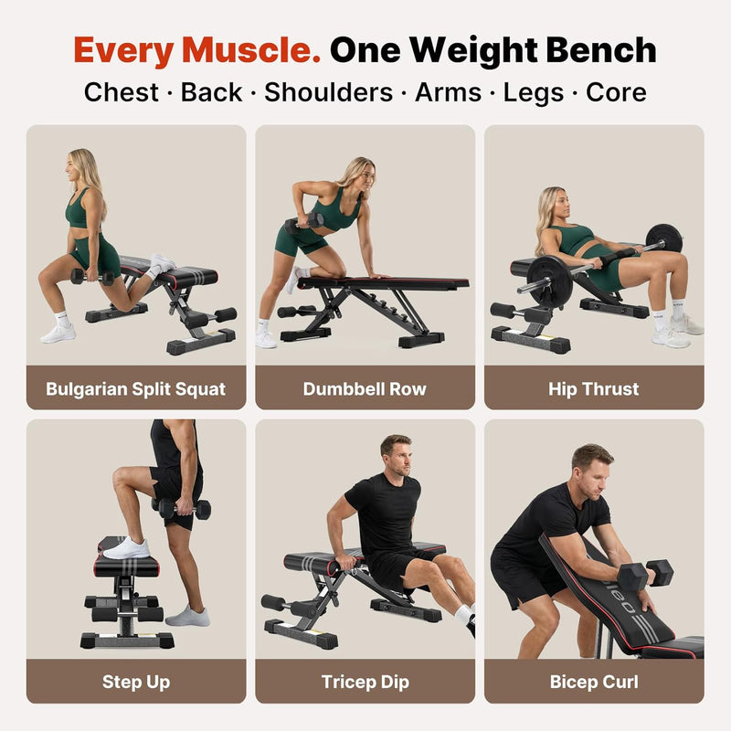 Adjustable Weight Bench for Home Gym Eniso-Certified 375KG