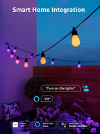 Ai Festoon Lights