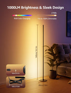 Ai Smart Floor Lamp 1000lm RGB+ic Warm LED