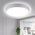 Aigostar LED Ceiling Light 18W Daylight Lights 6500K