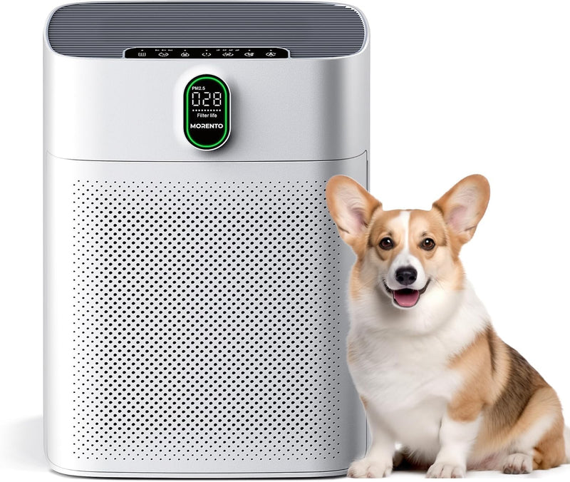 Air Purifier Double-Sided Inlet 24db Sleep Mode