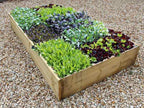 Allotment Raised Beds High