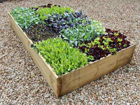 Allotment Raised Beds High