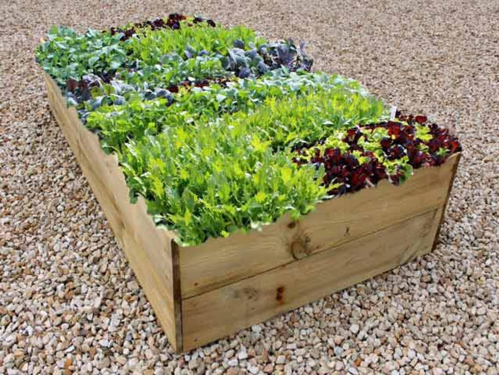 Allotment Raised Beds High