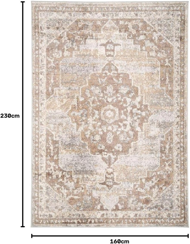 Antique Warm Neutral Greige Living Room Area Rug