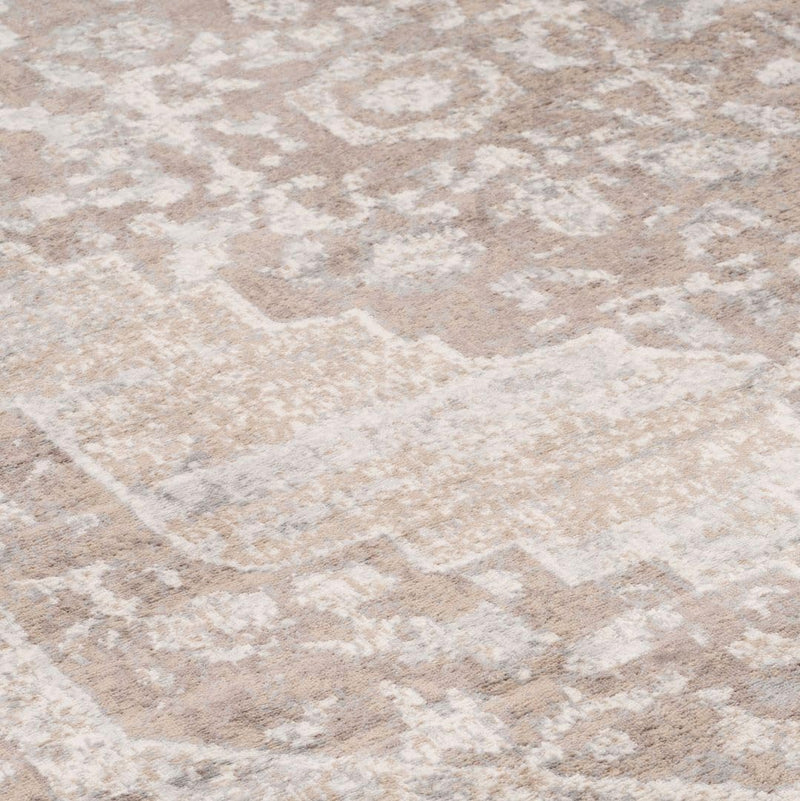 Antique Warm Neutral Greige Living Room Area Rug