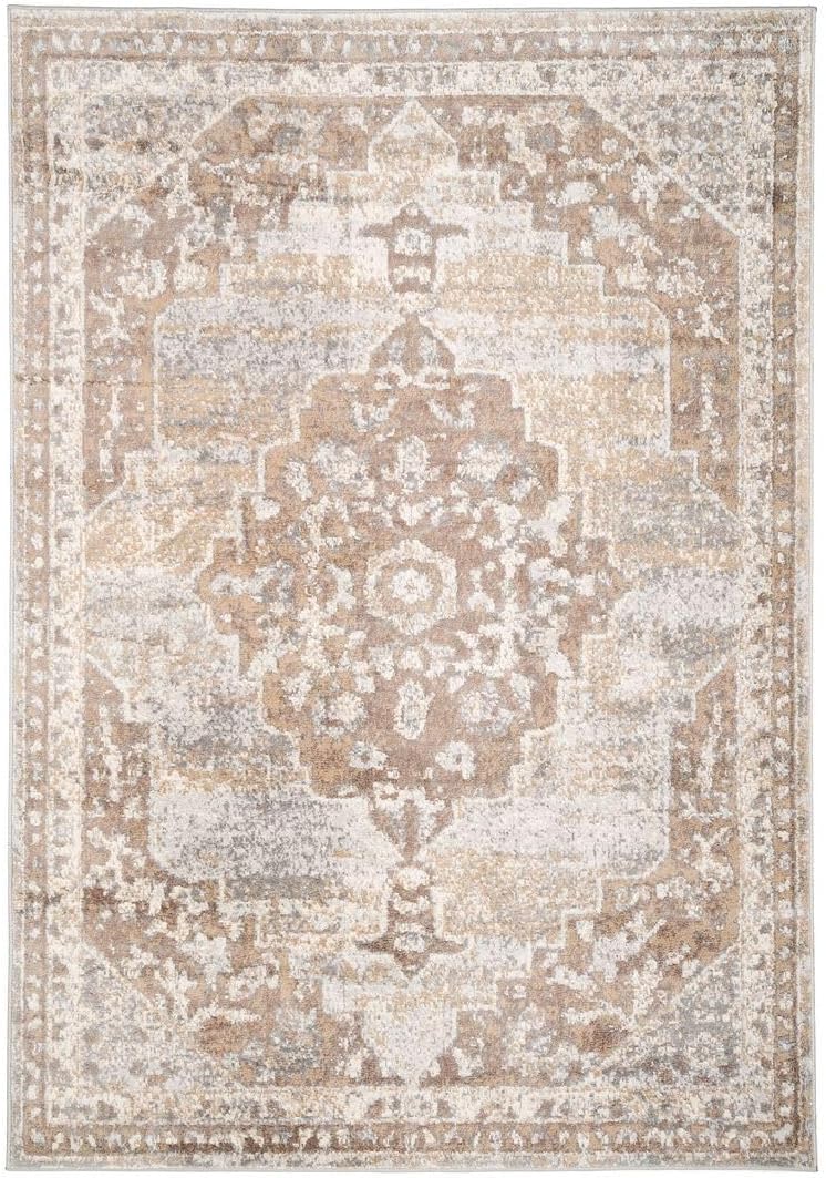 Antique Warm Neutral Greige Living Room Area Rug