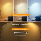 Arc Floor Lamp for Living Room 165CM Modern