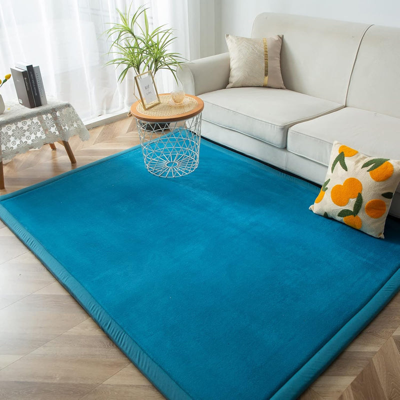 Area Rug 3CM Thick Crawling Carpet with Non-Slip
