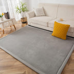 Area Rug 3CM Thick Crawling Carpet with Non-Slip