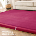 Area Rug 3CM Thick Crawling Carpet with Non-Slip