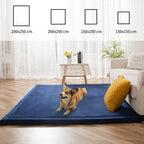 Area Rug 3CM Thick Crawling Carpet with Non-Slip