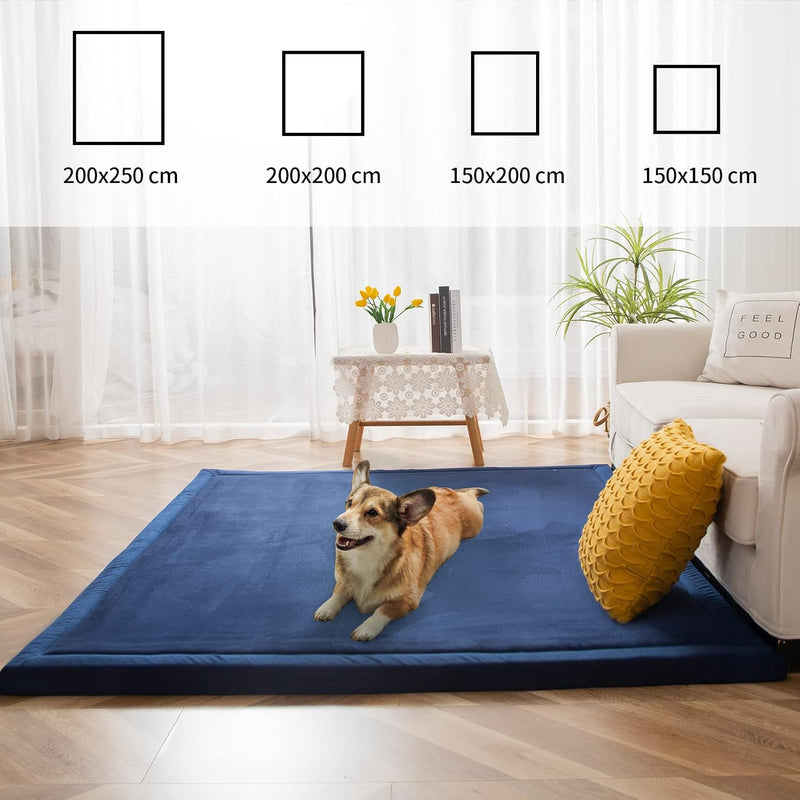 Area Rug 3CM Thick Crawling Carpet with Non-Slip
