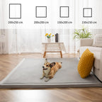 Area Rug 3CM Thick Crawling Carpet with Non-Slip