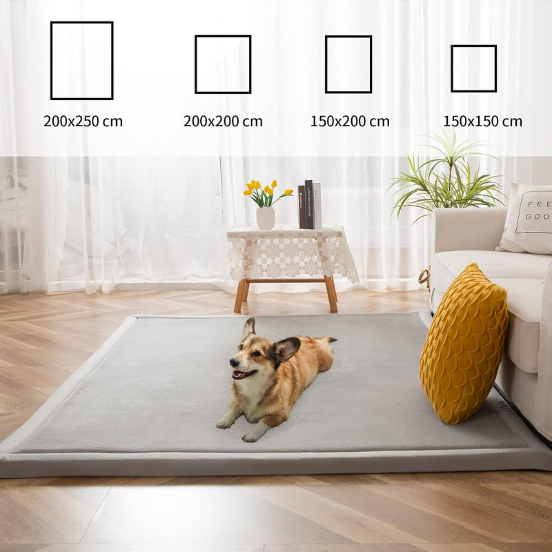 Area Rug 3CM Thick Crawling Carpet with Non-Slip