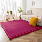 Area Rug 3CM Thick Crawling Carpet with Non-Slip