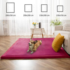 Area Rug 3CM Thick Crawling Carpet with Non-Slip