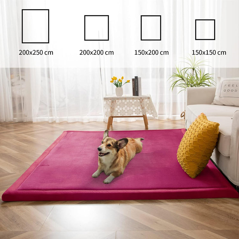 Area Rug 3CM Thick Crawling Carpet with Non-Slip