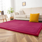 Area Rug 3CM Thick Crawling Carpet with Non-Slip