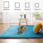 Area Rug 3CM Thick Crawling Carpet with Non-Slip