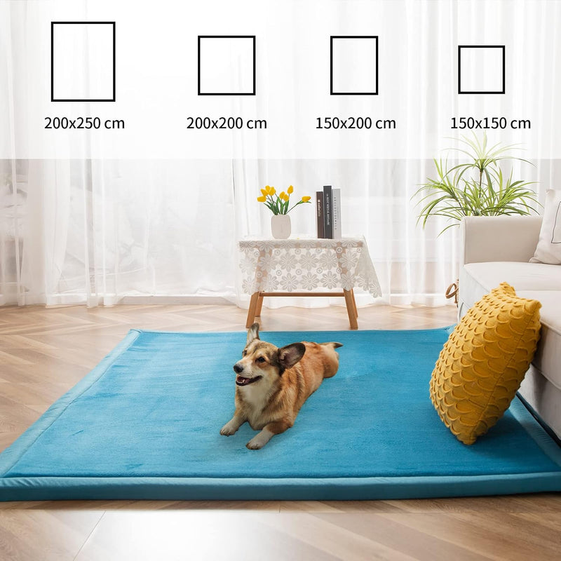Area Rug 3CM Thick Crawling Carpet with Non-Slip