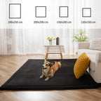 Area Rug 3CM Thick Crawling Carpet with Non-Slip