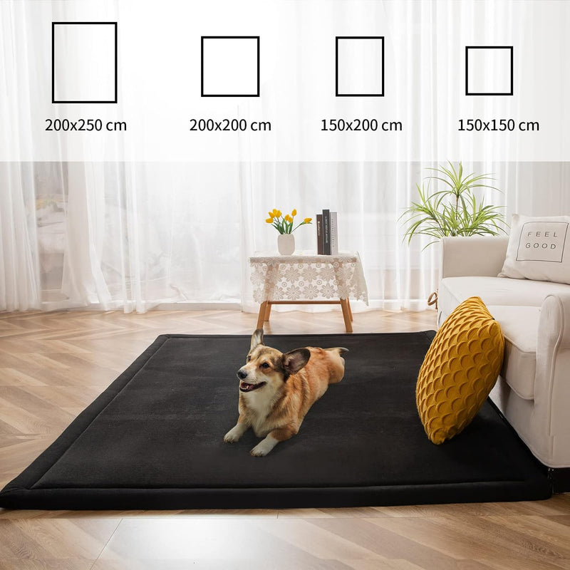 Area Rug 3CM Thick Crawling Carpet with Non-Slip