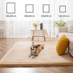 Area Rug 3CM Thick Crawling Carpet with Non-Slip