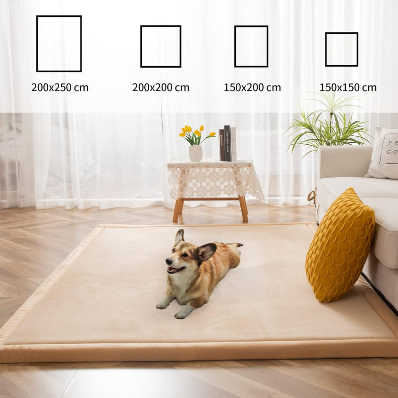 Area Rug 3CM Thick Crawling Carpet with Non-Slip