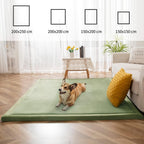 Area Rug 3CM Thick Crawling Carpet with Non-Slip