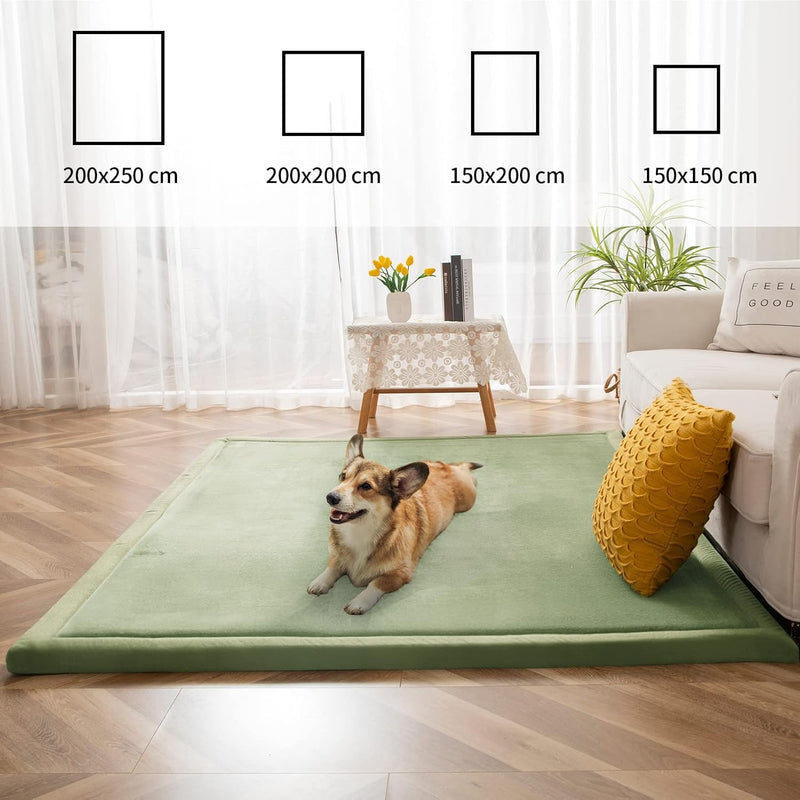 Area Rug 3CM Thick Crawling Carpet with Non-Slip
