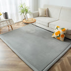 Area Rug 3CM Thick Crawling Carpet with Non-Slip