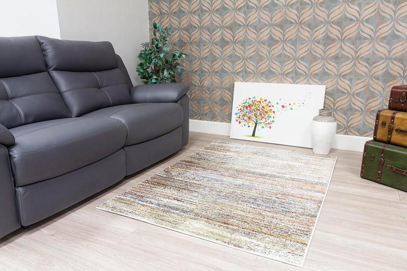 Area Rug for Living Room Bedroom