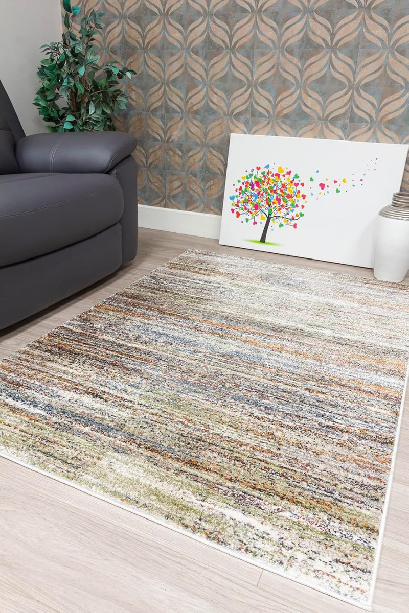 Area Rug for Living Room Bedroom