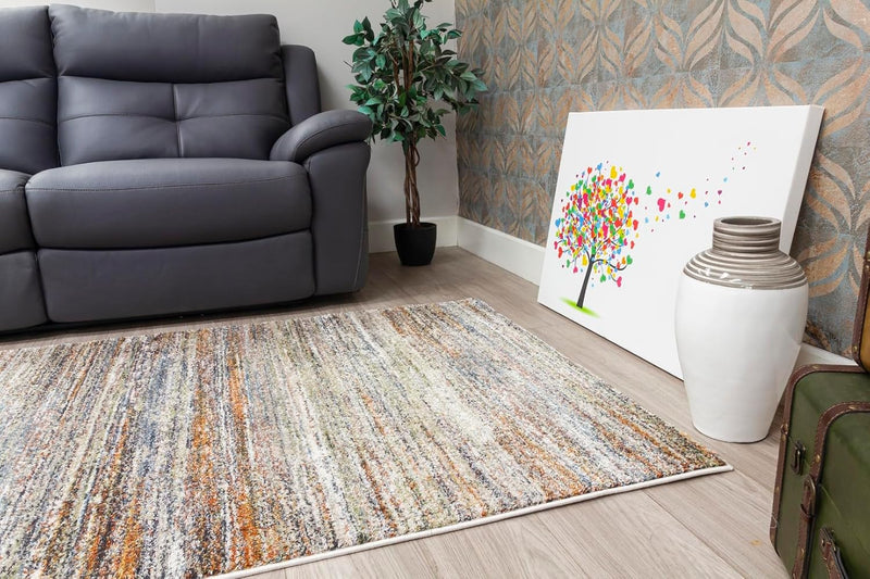 Area Rug for Living Room Bedroom