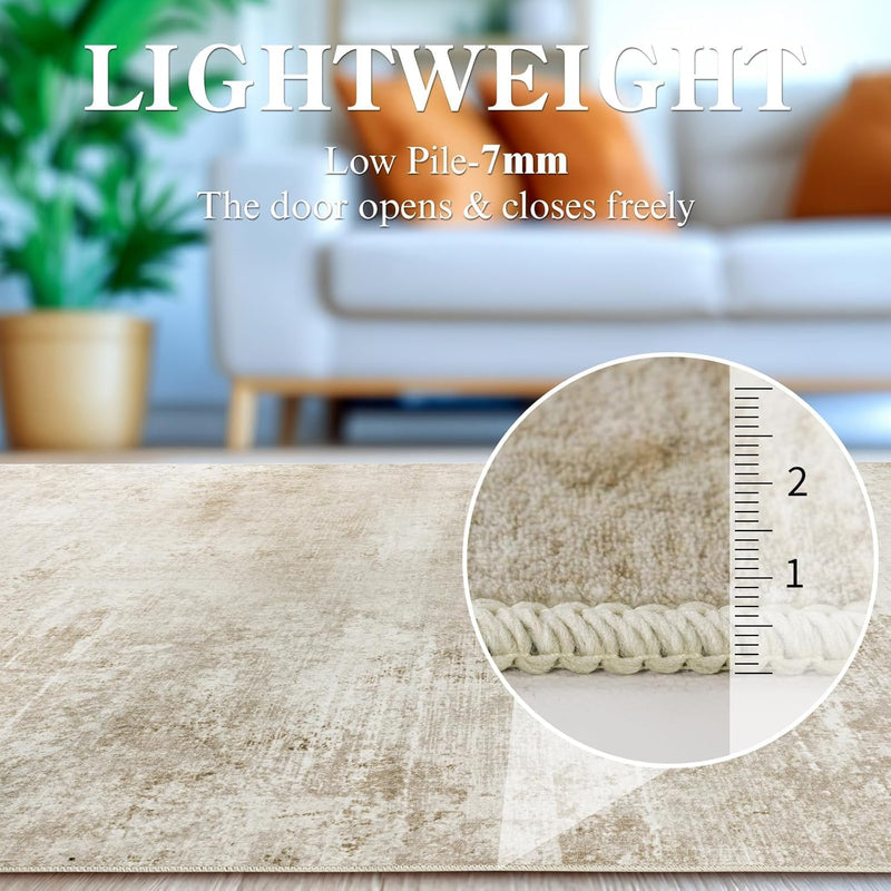 Area Rug for Living Room Machine Washable Low