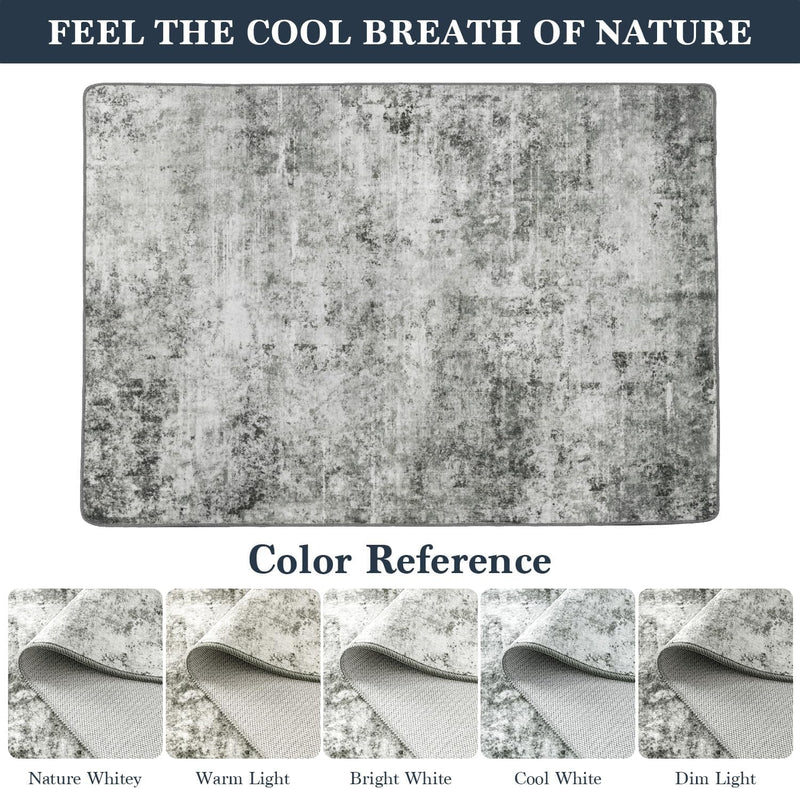 Area Rug for Living Room Machine Washable Low