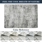 Area Rug for Living Room Machine Washable Low