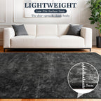 Area Rug for Living Room Machine Washable Low