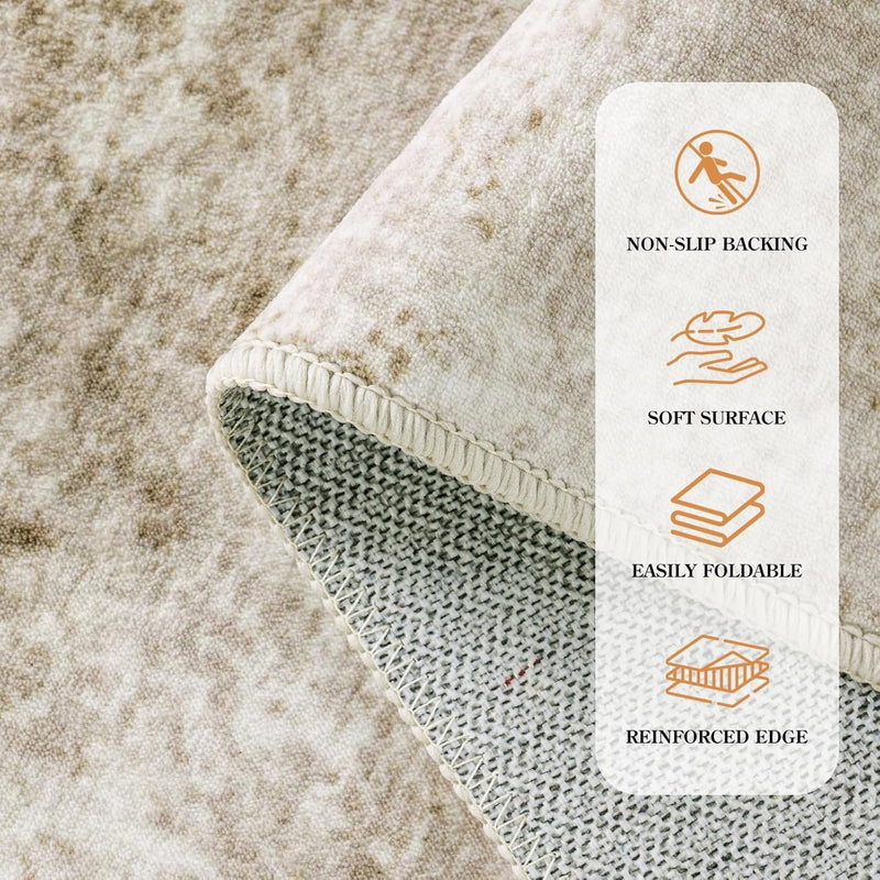 Area Rug for Living Room Machine Washable Low
