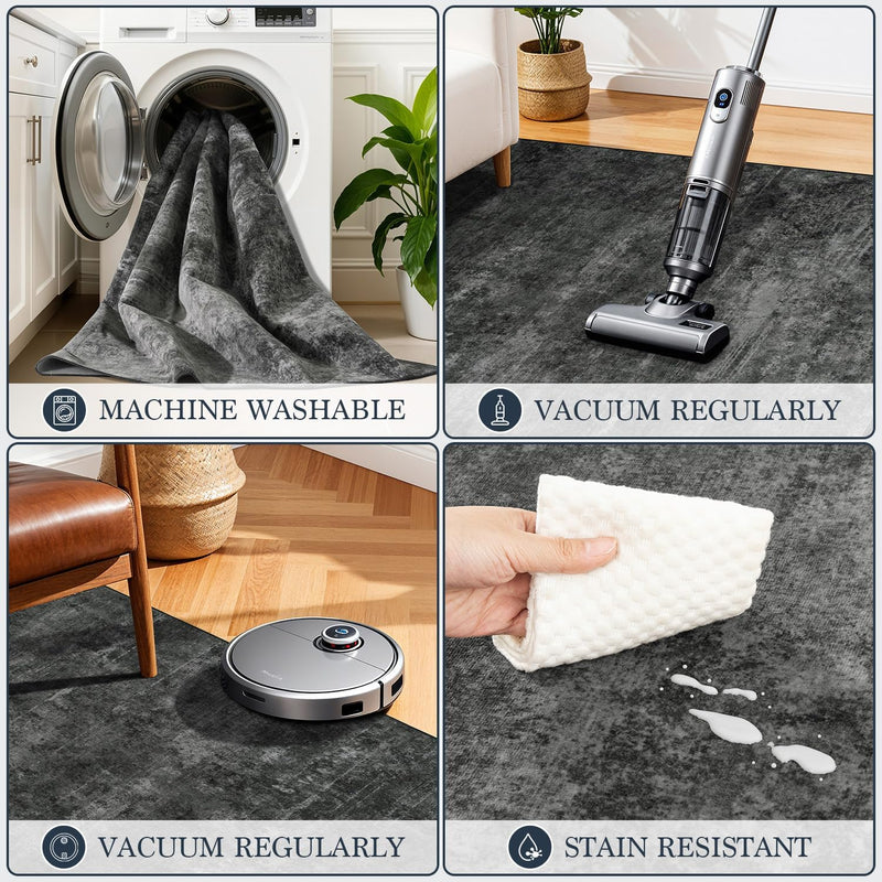 Area Rug for Living Room Machine Washable Low