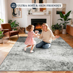 Area Rug for Living Room Machine Washable Low