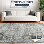 Area Rug for Living Room Machine Washable Low