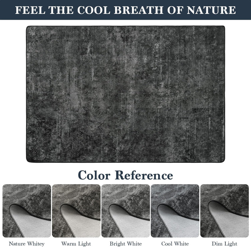 Area Rug for Living Room Machine Washable Low
