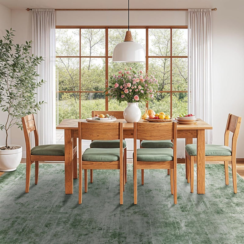Area Rug for Living Room Machine Washable Low