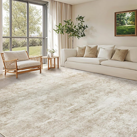 Area Rug for Living Room Machine Washable Low