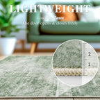 Area Rug for Living Room Machine Washable Low
