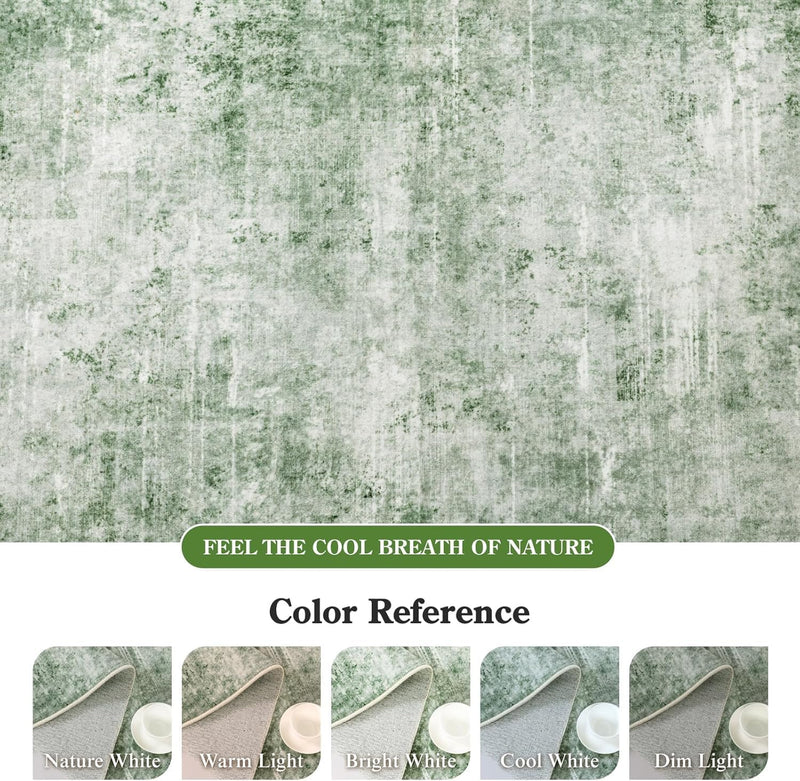 Area Rug for Living Room Machine Washable Low